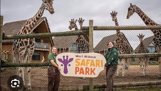 West Midlands Safari Park Drive tiprasainuk westmidlands birmingham uk [upl. by Zerline]