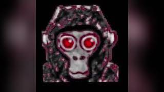 Gtag gorilla tag ￼ warning bot sound￼ [upl. by Hepzi]