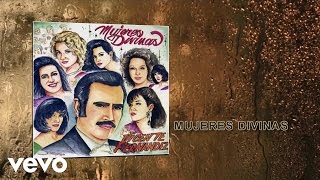 Vicente Fernández  Mujeres Divinas Cover Audio [upl. by Oicnanev]