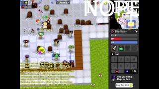 RotMG SwatSecOne Kills RotMG [upl. by Mylander]