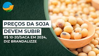 Preços da soja no Brasil devem subir R 1020saca em 2024 diz Brandalizze [upl. by Ainavi]