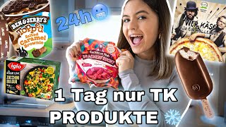 24h nur TIEFKÜHLPRODUKTE🥶❄️ Schmeckt das😱 cheatday [upl. by Rehtae]