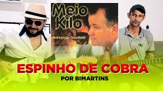 Bimartins toca Espinho de Cobra Meio Kilo  Cover [upl. by Enohpets]