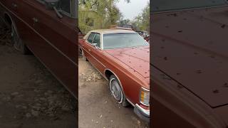 Survivor Barn Find 1973 Ford LTD barnfind ford survivor classiccars [upl. by Power]