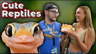 Top 5 Cutest Pet Reptiles In The World [upl. by Ahseiym]