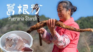 想吃葛根粉有多难？4小时挖3小时锤，才出3斤淀粉👏Extract Pueraria starch by hand and use it to make food【乡野莲姐】 [upl. by Jenni]