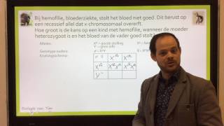 Biologie van Tim  Xchromosomale kruisingen [upl. by Anerys]