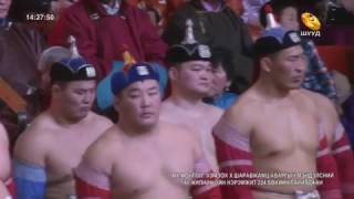 【Mongolian Wrestling】ХШаравжамц аваргын нэрэмжит 224 бөхийн барилдаан шууд [upl. by Caravette]