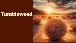 Tumbleweed [upl. by Ahsiuqet]