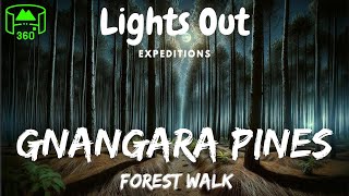 360 Video  Gnangara Forest Walk [upl. by Zetnwahs204]