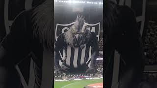 TORCIDA INSANA DO GALO [upl. by Lentha614]