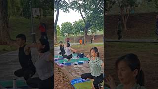 Balancing yoga workoutinspirationyogaposeshortsviralmotivationytshortsshortvideoyogapractice [upl. by Anitirhc]