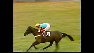 1984 Charlie Hall Chase Burrough Hill Lad [upl. by Adni]