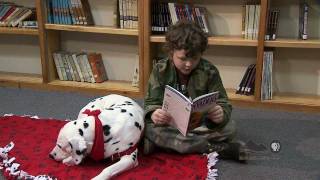 Spotlight  Therapy Dog for Reading [upl. by Tremain313]