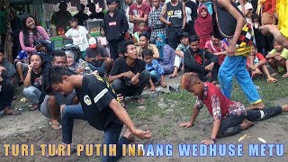 Lagu Turi turi Putih awal mendem masal saat Janturan Ebeg Banyumasan Turonggo Seto [upl. by Nye]