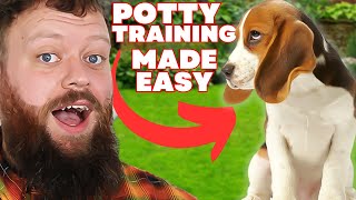 How To Potty Train Your Puppy Easily [upl. by Whitver]