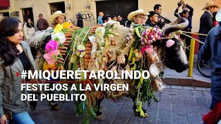 MiQuerétaroLindo  Así se CELEBRA a la Virgen del Pueblito en Corregidora [upl. by Nodyarg378]