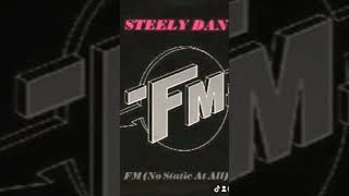 Steely Dan FM 1978 7122024 454 AM [upl. by Alathia863]