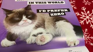 Grumpy Cat Calendar Sarcastically [upl. by Chyou]