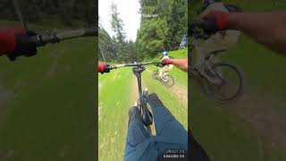 Brenwar Chadoora Budgam Kashmir Trail Approx 57 kms kashmirdownhill insta360 [upl. by Wexler]