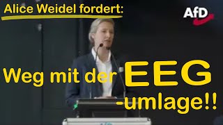 Alice Weidel fordert Weg mit der EEG Umlage [upl. by Eeladnerb605]