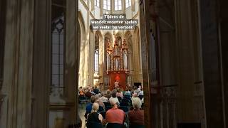 “Een toekomst vol van hoop” vanuit de Bovenkerk wandelconcert marcodentoom shorts orgel organ [upl. by Stambaugh942]