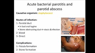 salivary gland infections [upl. by Ahcsap]