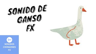 Ganso 1  efecto de sonido para videos [upl. by Dubenko]