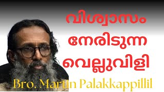 വിശ്വാസ വിചാരം Bro മാർട്ടിൻ പാലക്കാപ്പിള്ളിൽ [upl. by Suckram547]