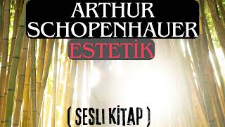 Arthur Schopenhauer  Estetik Üzerine  Sesli Kitap [upl. by Angie]