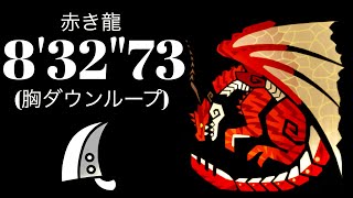 MHWIPS5 ムフェトジーヴァ 大剣ソロ 一撃 832quot73 赤き龍The Red Dragon Full Energy Safijiiva Greatsword Solo [upl. by Sawyere333]