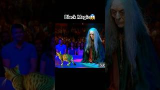 Live Black Magic horribly gone wrong blackmagic talentshow catvideo halloween magicalcats [upl. by Kristofor670]