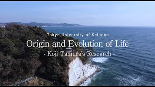 Origin and Evolution of Life Koji Tamuras Research [upl. by Ytinirt]