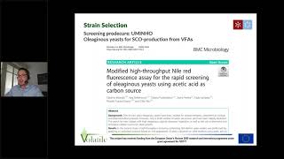 Volatile 07 Cultivation of oleaginous yeasts for single cell oil productio [upl. by Eilrak766]