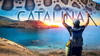 3 DAYS EATING ANYTHING I CATCH CAMPING  Catalina Island [upl. by Jacoby]