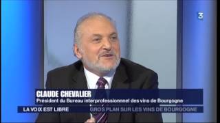 1ere partie  Le point sur le monde viticole dans La Voix est libre du 24 janvier 2015 [upl. by Lekcar]