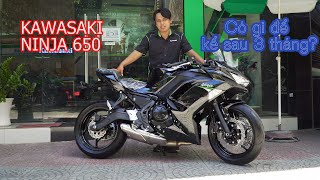 Đánh giá Ninja 650 2020 sau 3 tháng ra mắt  Giá 197 triệu [upl. by Leirza]