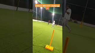 Single Wicket Hit Challenge 🎯 [upl. by Teria]