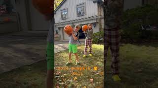 2024 Pumpkin 🎃 Roll part 1 halloween pumkinpatch pumpkinroll [upl. by Adnowal]