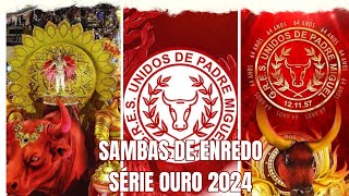 CD SAMBAS DE ENREDO 2024  SÉRIE OURO CARNAVAL DO RIO DE JANEIRO OFICIAL [upl. by Erlina]