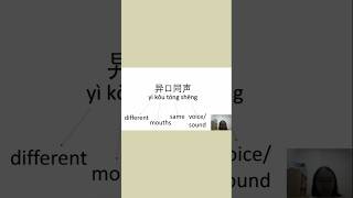 New idiom of the day Yi Kou Tong Sheng 异口同声 Subscribe MintyChinese for more learnchinesefast [upl. by Jimmie]