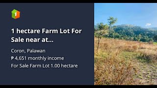 1 hectare Farm Lot For Sale near at International Airport [upl. by Arraeit747]