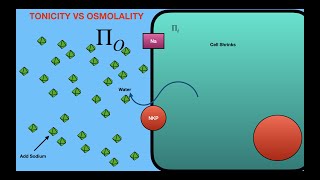 Tonicity vs Osmolality [upl. by Denton]