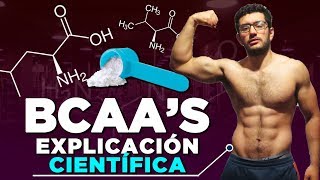 AMINOACIDOS BCAAs  ¿NECESARIOS o PERDIDA DE DINERO Explicación Científica [upl. by Fayette253]