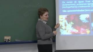 Cursos USP Oceanografia  Recifes de Coral  parte 2 [upl. by Macswan]