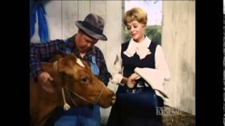 Petticoat Junction  The Lady Doctor  S6 E7  Part 3 [upl. by Iden]