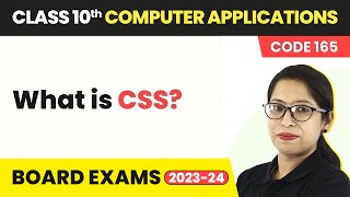 Class 10 Computer Applications Cha 5  What is CSS  Cascading Style Sheets Code 165 202223 [upl. by Grearson]