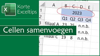 Cellen samenvoegen [upl. by Leonardi]