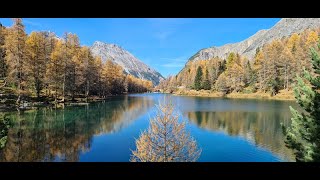 Indian Summer Albula Region [upl. by Aerb931]