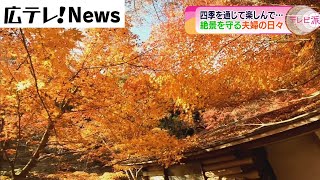 【広島・府中市】「三郎の滝」と絶景を守る夫婦の物語 [upl. by Hcahsem93]